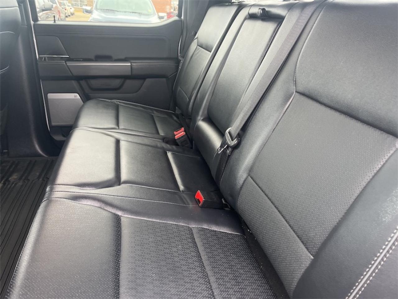 2024 Ford F-150 Lariat  - B&O Audio -  Cooled Seats Photo5