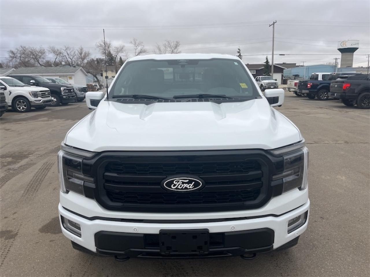 2024 Ford F-150 Lariat  - B&O Audio -  Cooled Seats Photo
