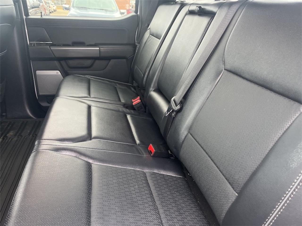 2024 Ford F-150 Lariat  - B&O Audio -  Cooled Seats Photo5