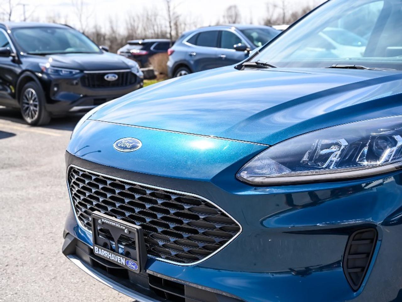 2020 Ford Escape SE Photo