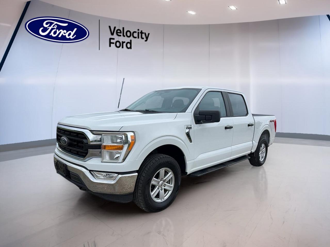 Built to handle hard work and daily driving with ease, this used 2021 Ford F-150 XLT 4WD SuperCrew 5.5 Box at Velocity Ford in Moose Jaw delivers proven capability, practical comfort, and trusted Ford truck strength. Finished in White with four doors, automatic transmission, and a 3.3-litre unleaded engine, it is ready for the job site, the highway, and the weekend.

With 224,432 km on the odometer, this 2021 Ford F-150 XLT 4WD SuperCrew 5.5 Box shows the kind of durability that has made the F-150 a top choice across Canada. Its SuperCrew cab adds easy rear-seat access, while the 5.5-foot box gives you useful cargo flexibility for tools, gear, and everyday hauling.

FEATURES OF THE F-150 XLT 4WD SuperCrew 5.5 Box

»» SuperCrew cab adds roomy rear access
»» 5.5-foot box supports daily hauling needs
»» Four-wheel drive boosts all-season traction
»» Automatic transmission supports smooth operation

TRUCK FEATURES

»» Towing capacity rated at 4,580 kg
»» Rear tow hook adds utility
»» Off-road tires support rougher surfaces
»» Rear trunk access aids loading ease

ADVANCED SAFETY FEATURES

»» Backup camera helps with reversing views
»» Blind spot monitor supports lane awareness
»» Lane departure warning adds extra confidence
»» Side and head airbags enhance protection

PERFORMANCE AND EFFICIENCY

»» 3.3-litre unleaded engine delivers dependable power
»» Automatic transmission offers smooth gear changes
»» Four-wheel drive improves grip on roads
»» Stability control helps maintain composed handling

COMFORT AND CONVENIENCE

»» Front air conditioning keeps cabin comfortable
»» Power windows add everyday ease
»» Cruise control supports relaxed highway driving
»» Driver lumbar support improves seat comfort

TECHNONOLGY AND CONNECTIVITY

»» Bluetooth integration supports hands-free phone use
»» WiFi hotspot helps keep devices connected
»» Steering wheel audio controls add convenience
»» Automatic headlights respond in low light

CARGO SPACE

»» SuperCrew cabin adds flexible passenger space
»» 5.5-foot box handles daily cargo tasks
»» Four-door layout improves loading access
»» Spare tire adds work-ready peace

AWARDS & RECOGNITIONS

»» North American Truck of the Year, North American Car, Utility and Truck of the Year, 2021

WHAT OTHER OWNERS LIKE

»» Strong towing ability for daily truck tasks
»» Comfortable cabin with useful rear space
»» Four-wheel drive confidence in poor weather
»» Easy-to-use tech for everyday driving

This truck also includes practical features that matter every day. You get power steering, Anti-Lock Braking System, child safety locks, heated mirrors, electric mirrors, tinted windows, adjustable steering wheel, passenger airbag sensor, automatic door locks, rear window defroster, fog lights, tire pressure monitoring, and illuminated vanity mirrors for both front occupants.

For drivers who want a full-size pickup with real capability and useful equipment, this used Ford checks the right boxes. It offers the trusted toughness people expect from an F-150, along with the comfort, safety, and connectivity features that make long days easier. Visit Velocity Ford in Moose Jaw and see how this White 2021 Ford F-150 XLT 4WD SuperCrew 5.5 Box can fit your work and lifestyle needs.

This 2021 Ford F-150 XLT 4WD SuperCrew 5.5 Boxs VIN is: 1FTEW1EB3MFC53949.