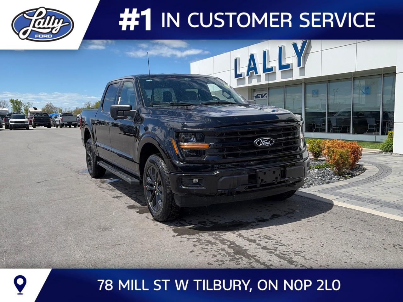 2026 Ford F-150 XLT 4WD SuperCrew 5.5' Box Photo0