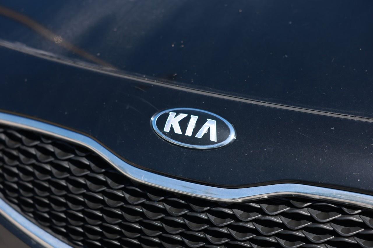 2015 Kia Rondo 4dr Wgn Auto EX Photo