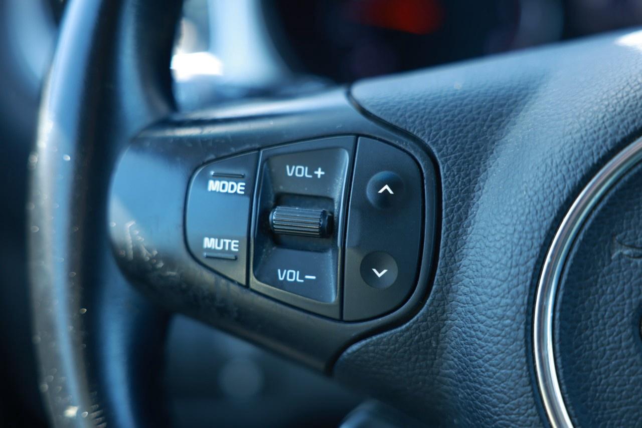 2015 Kia Rondo 4dr Wgn Auto EX Photo