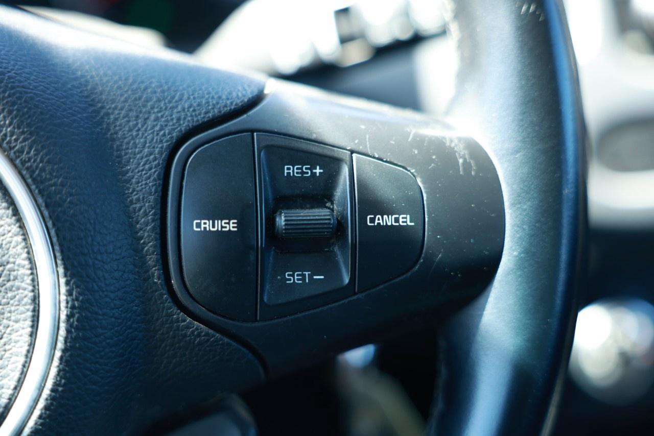 2015 Kia Rondo 4dr Wgn Auto EX Photo