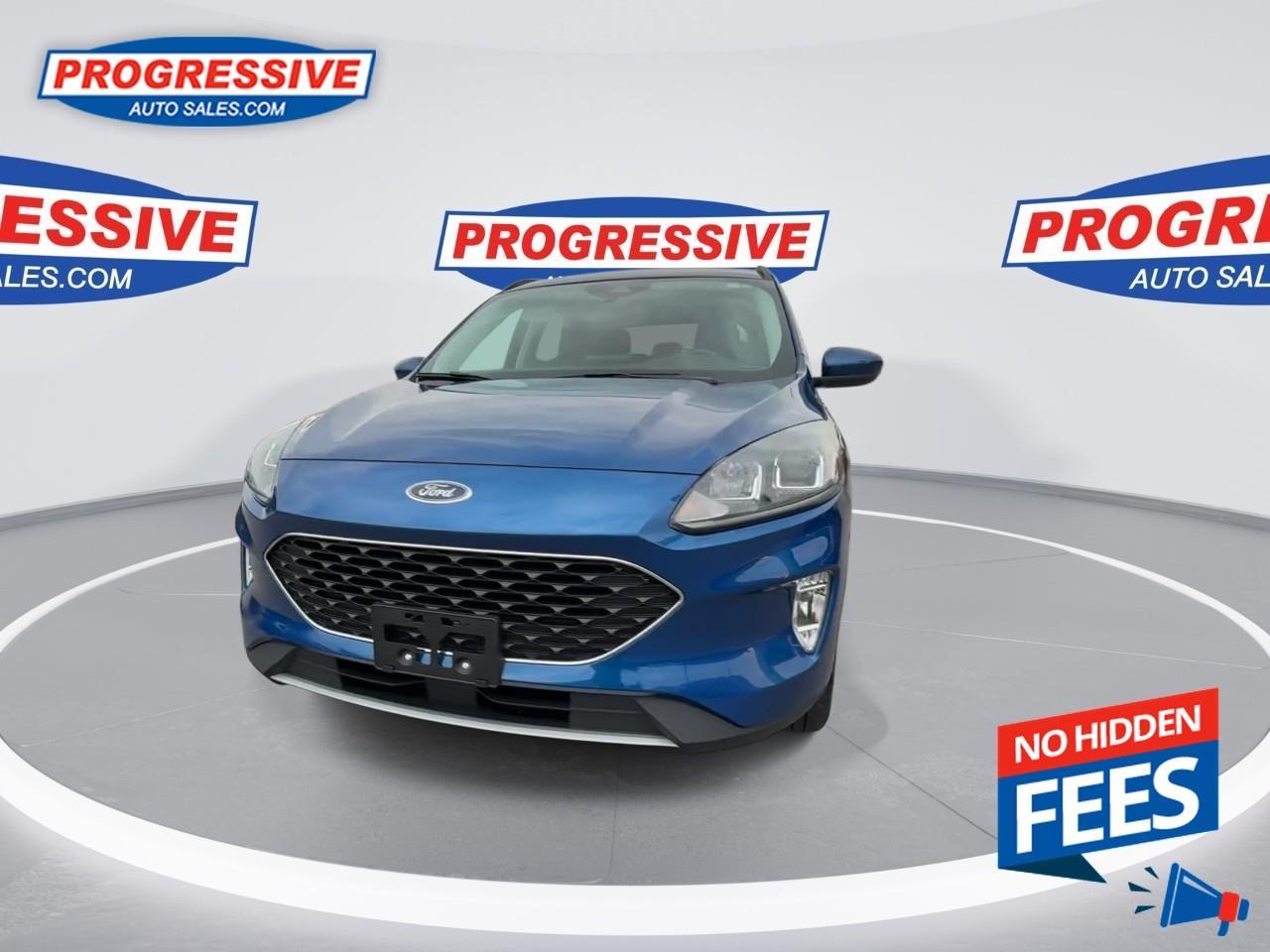 2022 Ford Escape SEL Photo