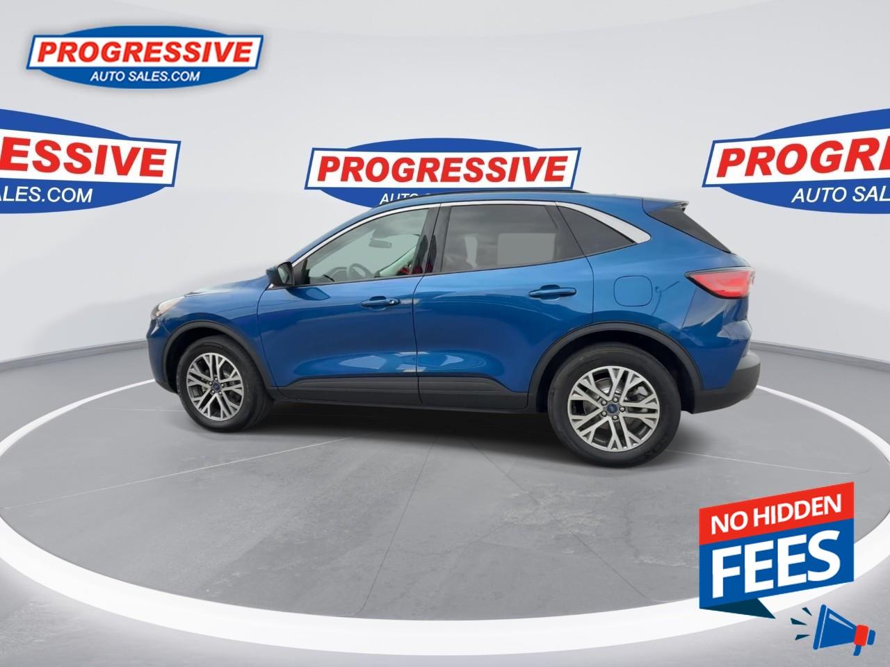 2022 Ford Escape SEL Photo
