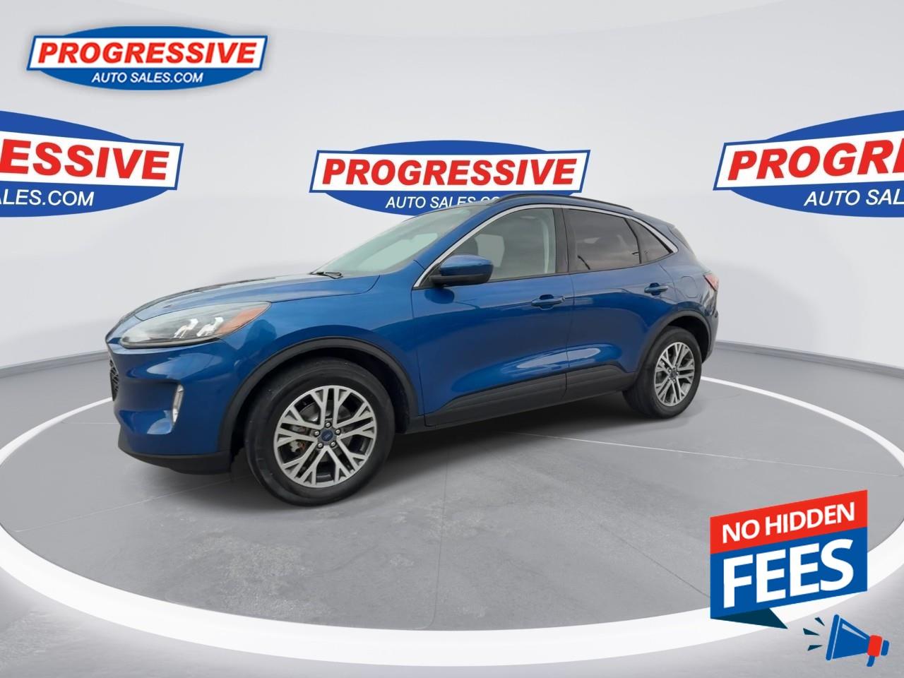 2022 Ford Escape SEL Photo