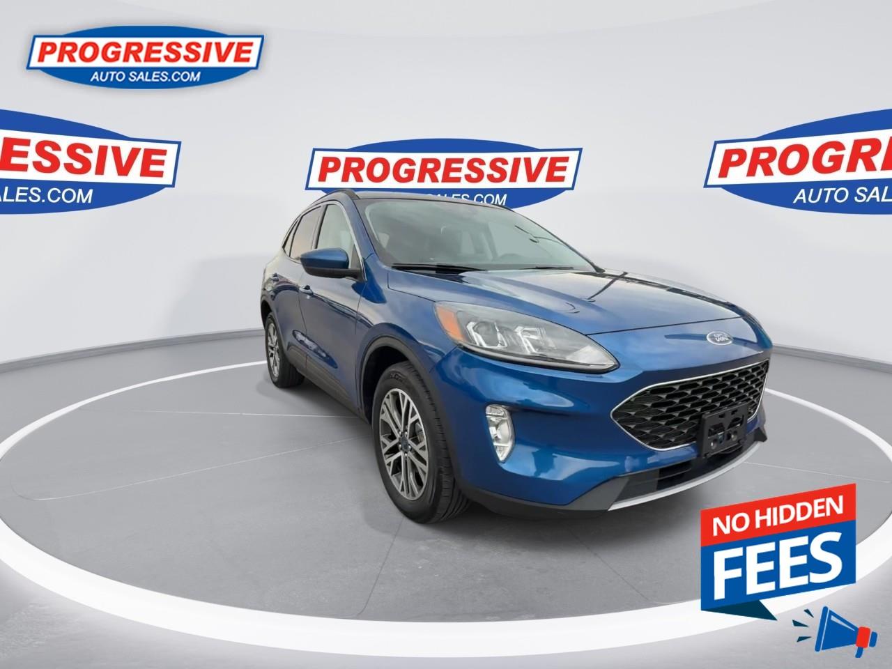 2022 Ford Escape SEL Photo
