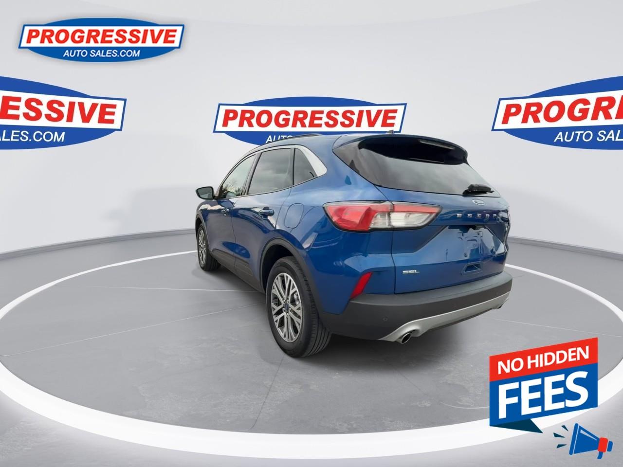 2022 Ford Escape SEL Photo