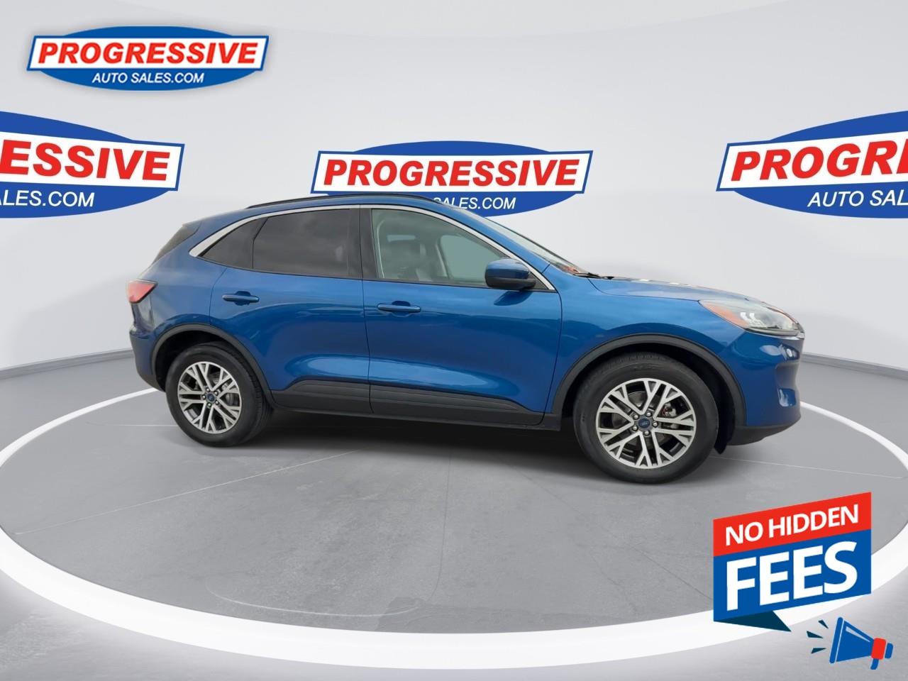 2022 Ford Escape SEL Photo