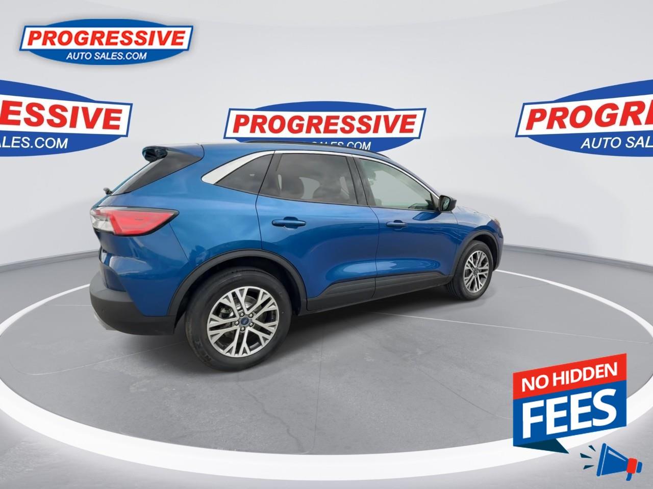 2022 Ford Escape SEL Photo