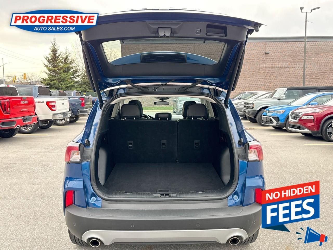2022 Ford Escape SEL Photo