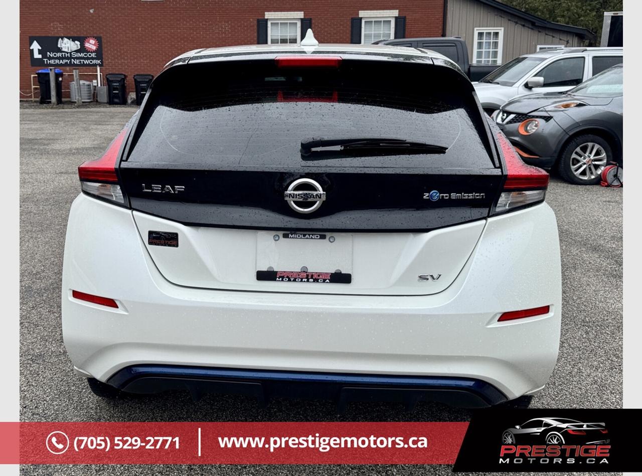 2019 Nissan Leaf SV Photo