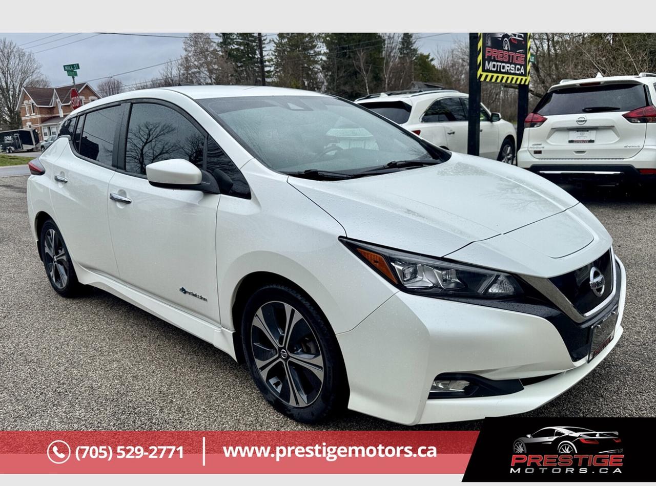 2019 Nissan Leaf SV Photo