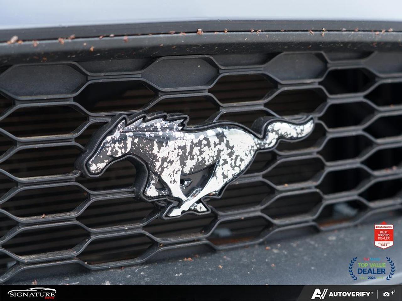 2018 Ford Mustang Ecoboost Fastback No Accident Cruise Control backu Photo