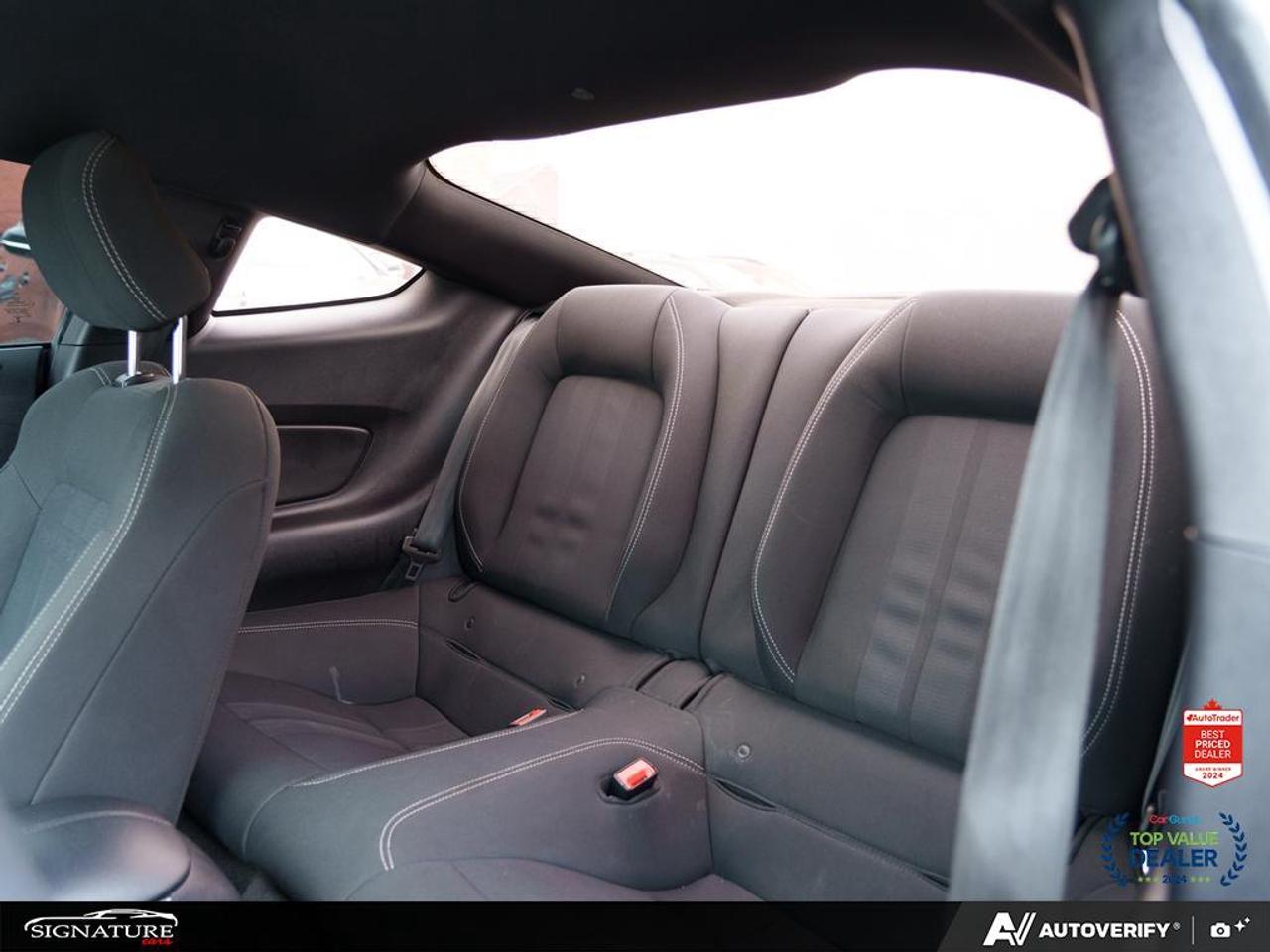 2018 Ford Mustang Ecoboost Fastback No Accident Cruise Control backu Photo