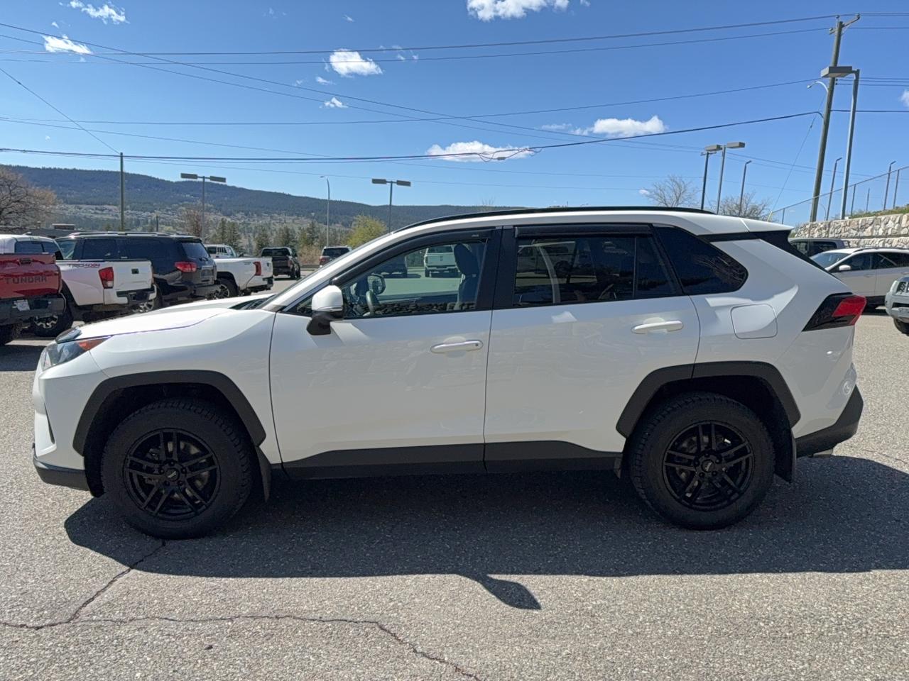 2020 Toyota RAV4 LE Photo