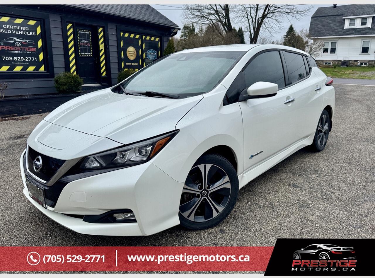2019 Nissan Leaf SV Photo