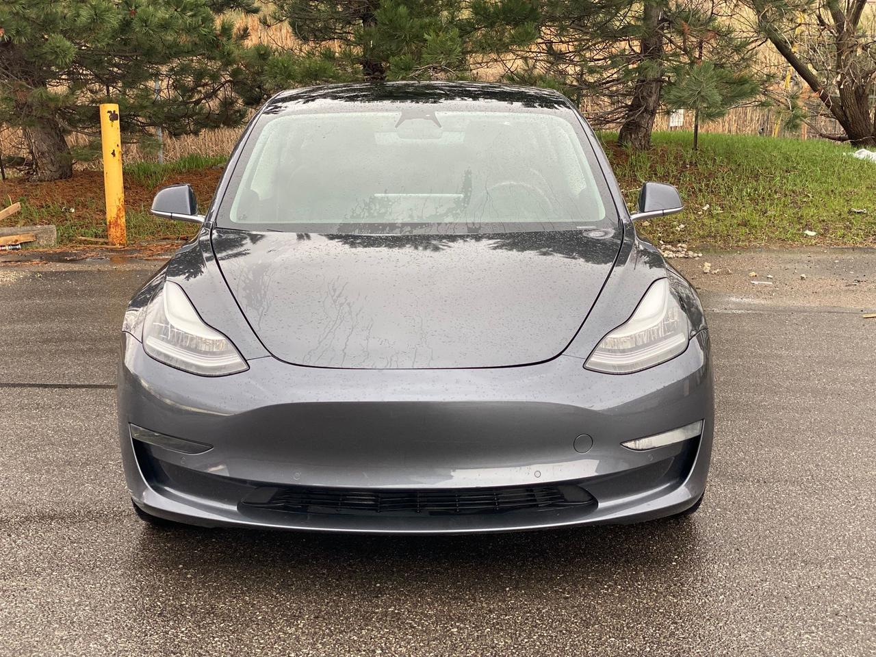 2020 Tesla Model 3 Standard Range Plus | NO ACCIDENT Photo