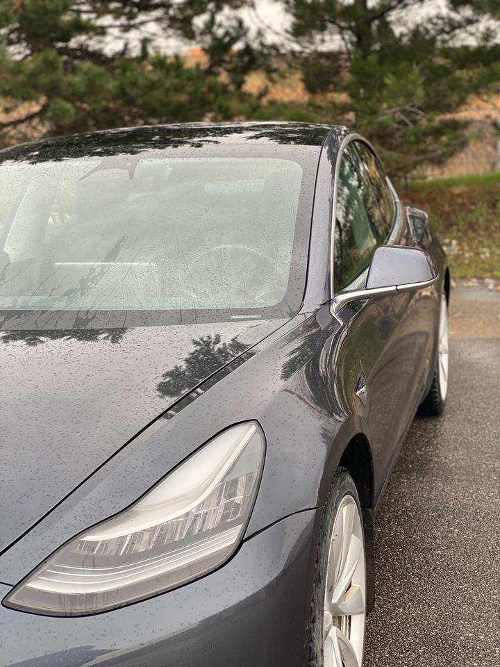 2020 Tesla Model 3 Standard Range Plus | NO ACCIDENT Photo