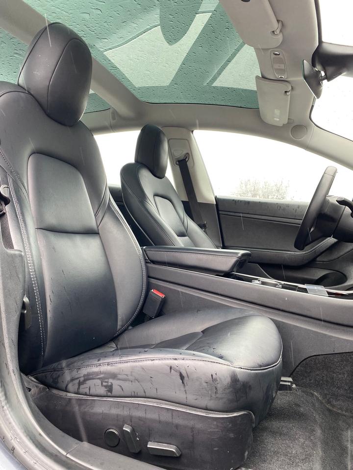 2020 Tesla Model 3 Standard Range Plus | NO ACCIDENT Photo