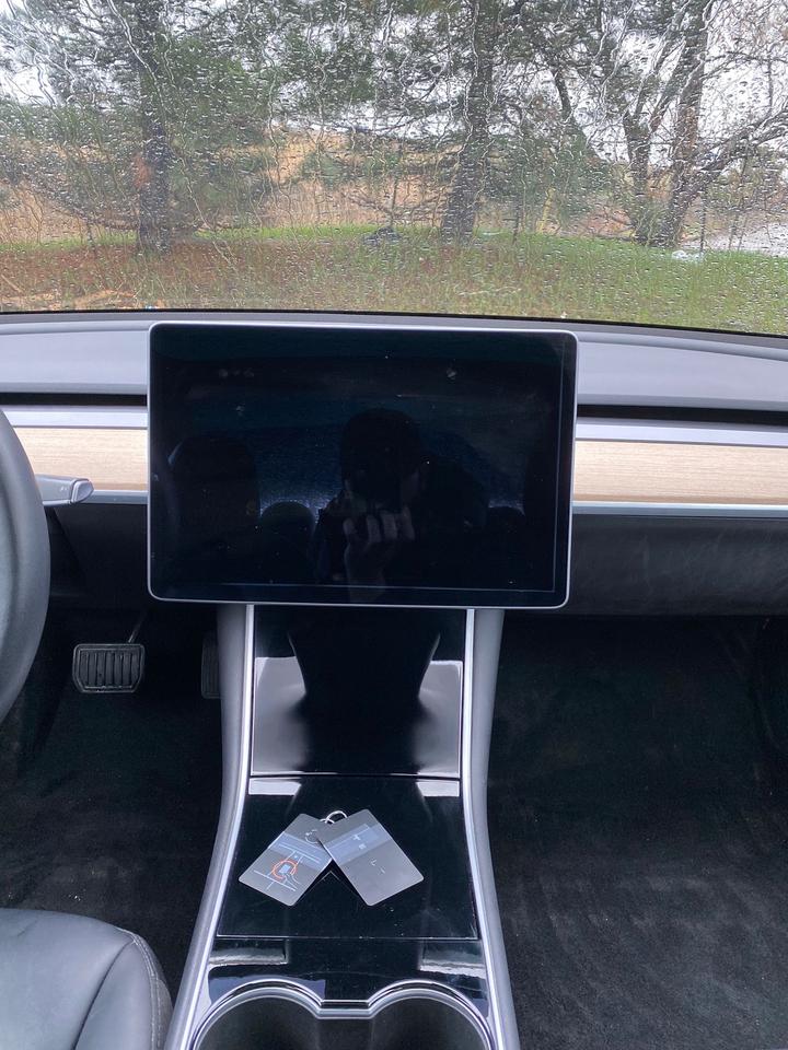 2020 Tesla Model 3 Standard Range Plus | NO ACCIDENT Photo