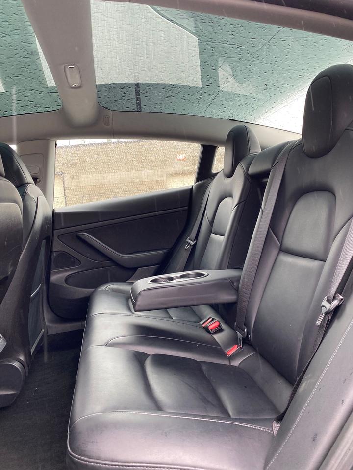 2020 Tesla Model 3 Standard Range Plus | NO ACCIDENT Photo