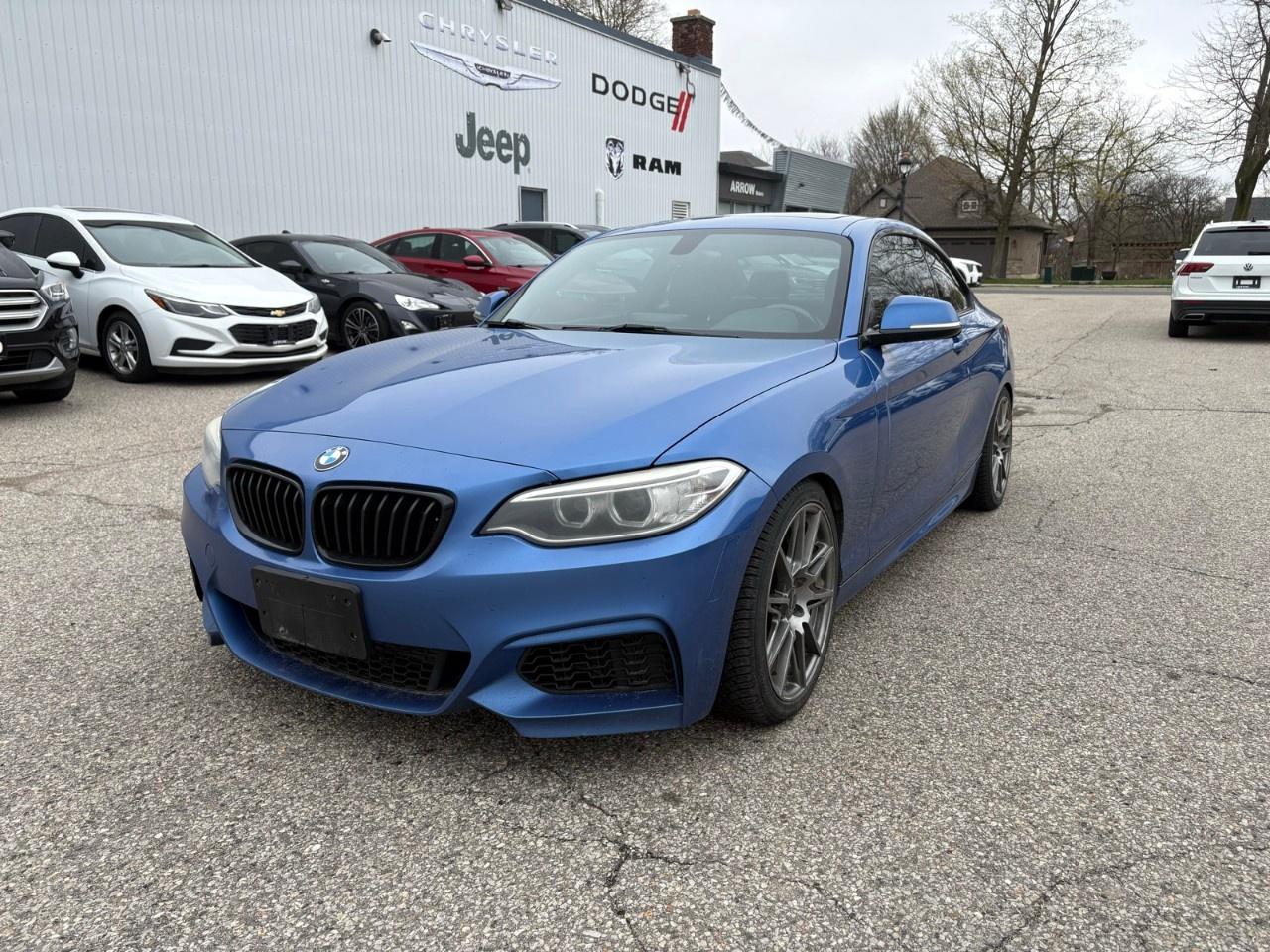 2014 BMW 2 Series 2DR CPE 228I RWD Photo