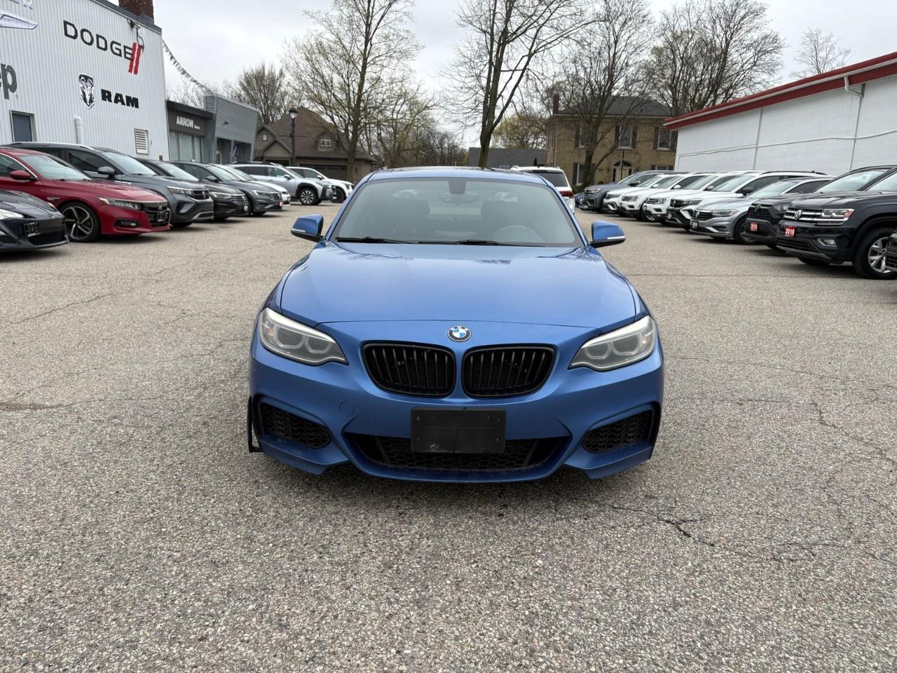 2014 BMW 2 Series 2DR CPE 228I RWD Photo