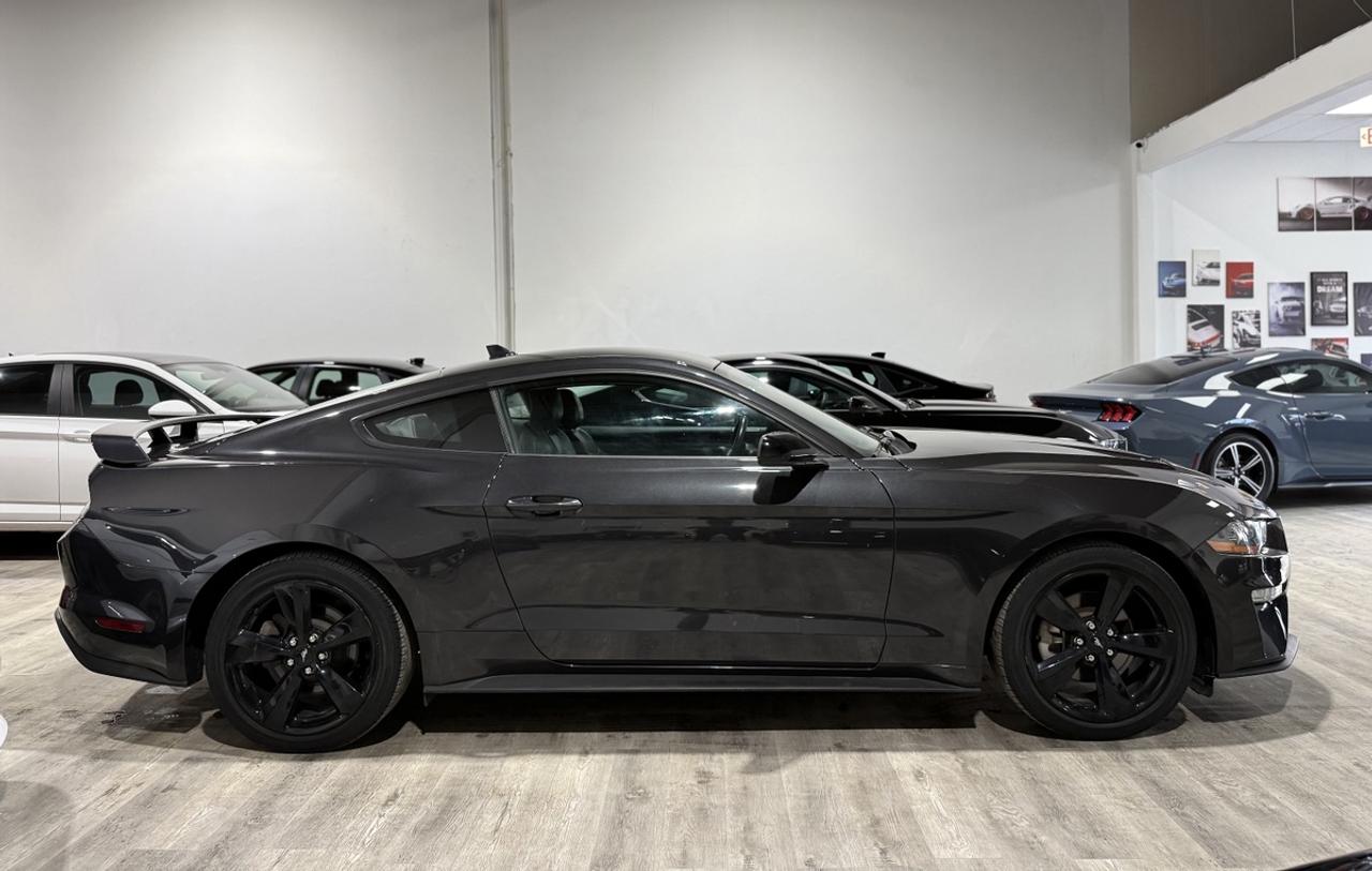 2022 Ford Mustang EcoBoost Premium||Clean Carfax Photo