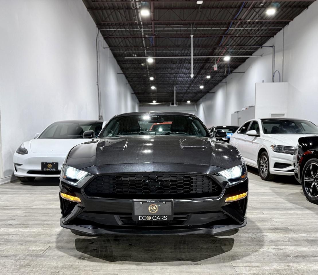 2022 Ford Mustang EcoBoost Premium||Clean Carfax Photo