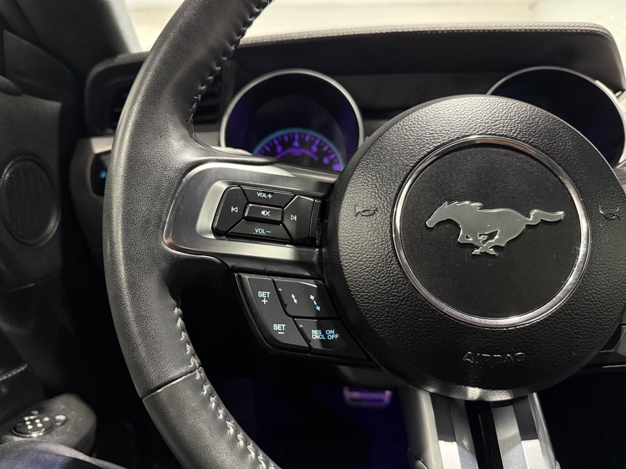 2022 Ford Mustang EcoBoost Premium||Clean Carfax Photo