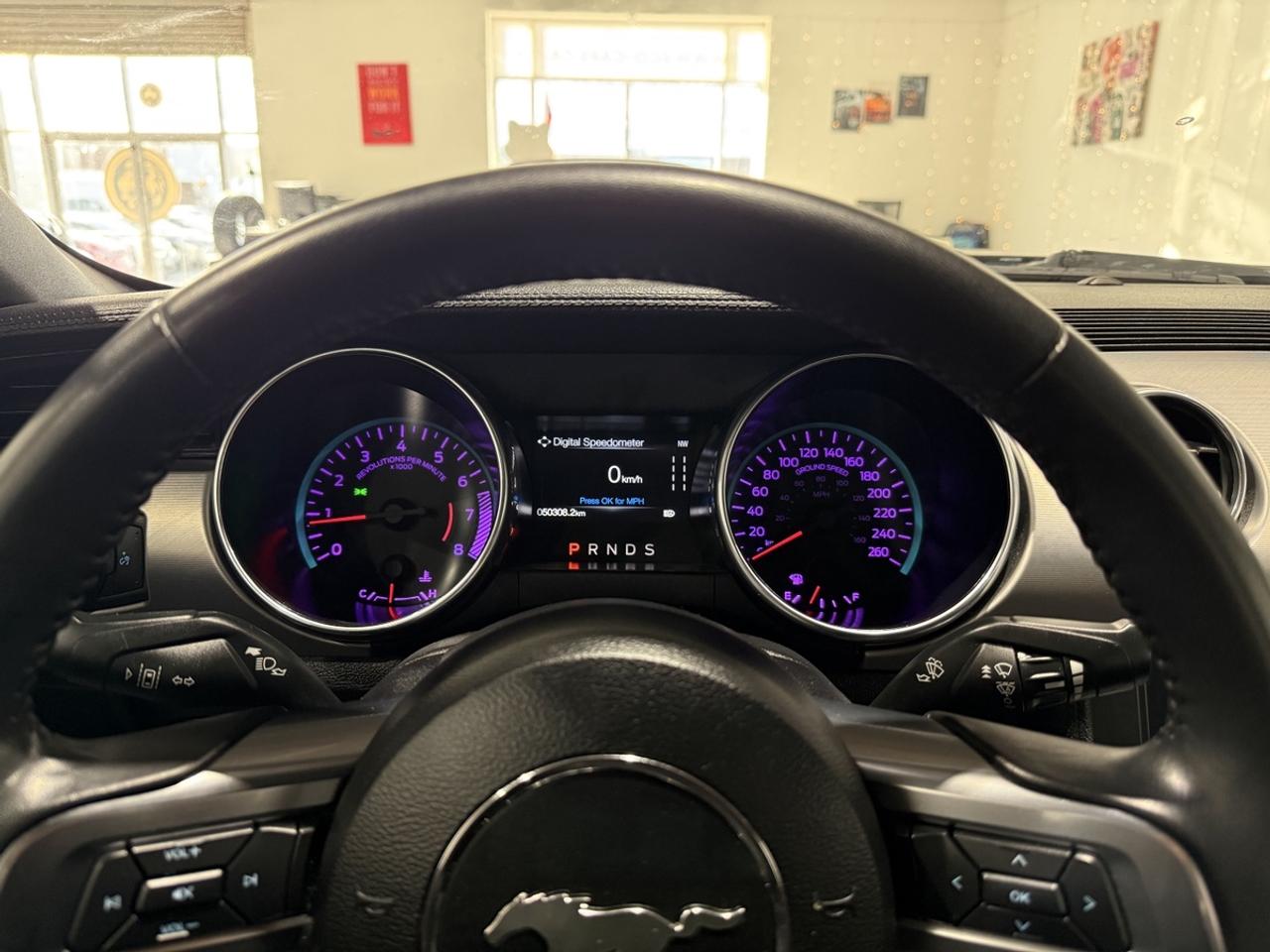 2022 Ford Mustang EcoBoost Premium||Clean Carfax Photo