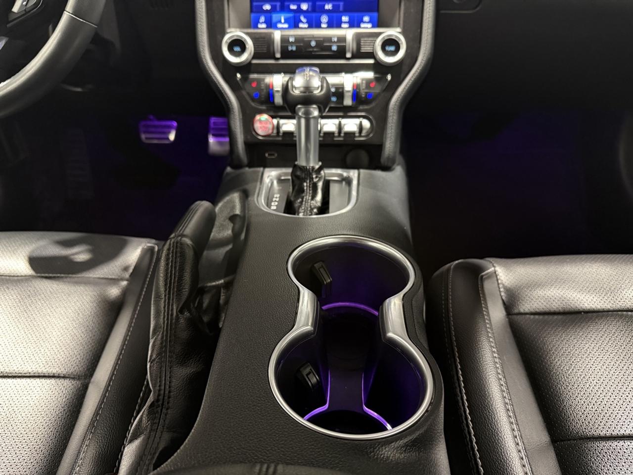 2022 Ford Mustang EcoBoost Premium||Clean Carfax Photo