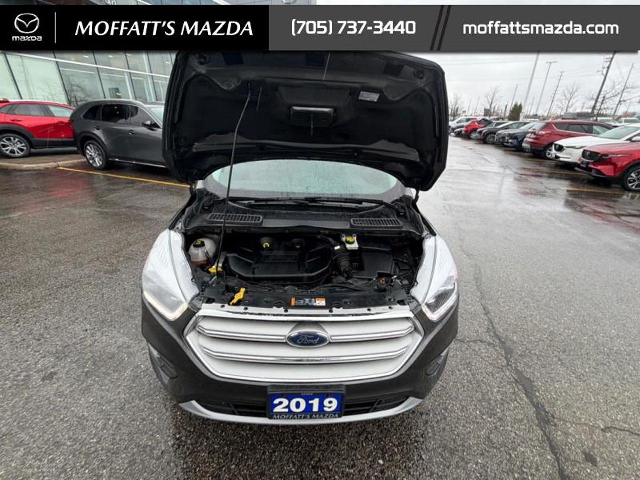 2019 Ford Escape Titanium 4WD Photo