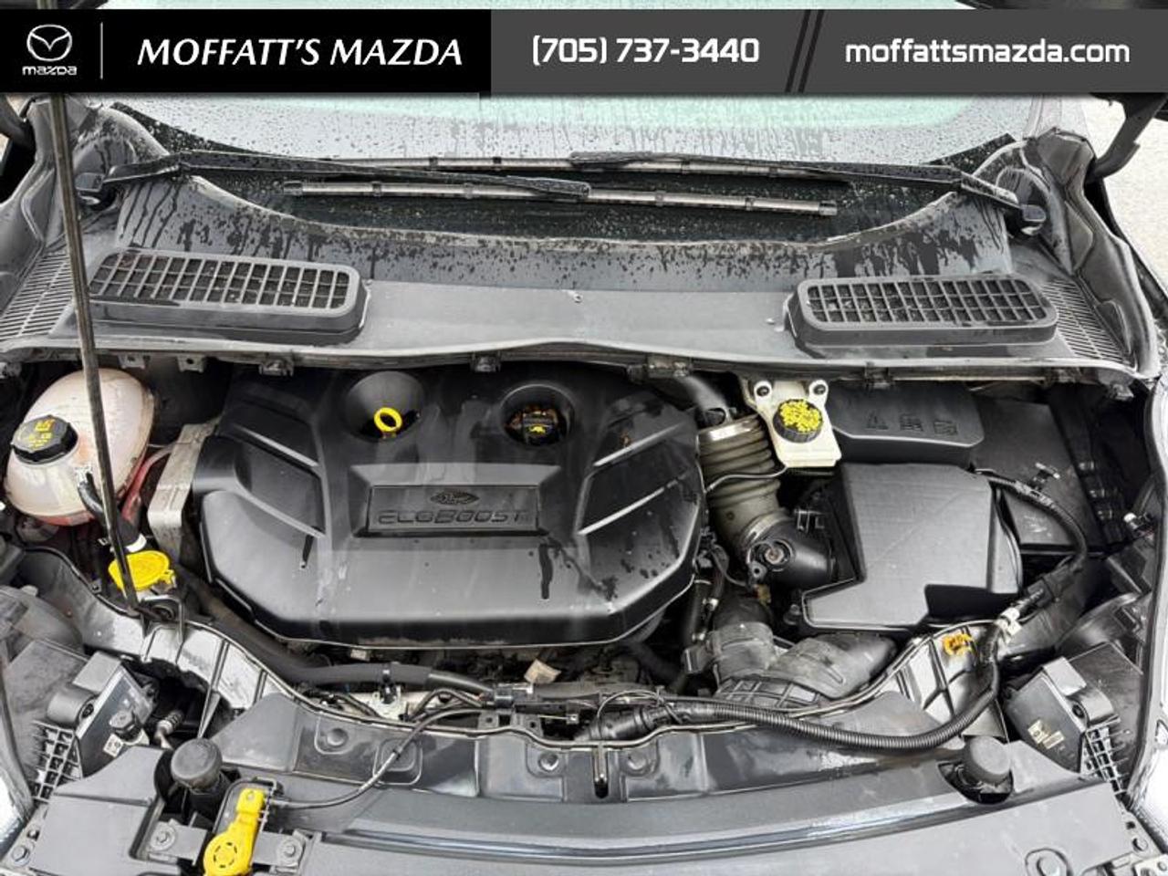2019 Ford Escape Titanium 4WD Photo