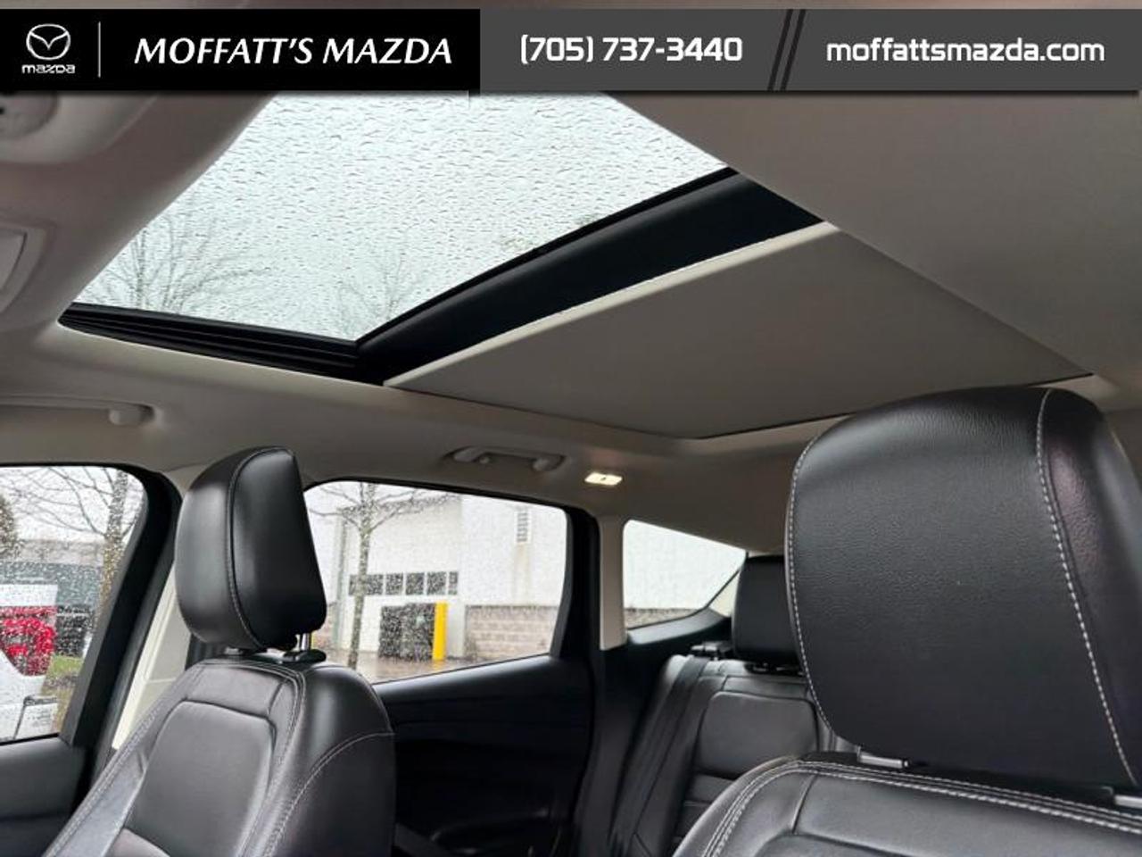 2019 Ford Escape Titanium 4WD Photo