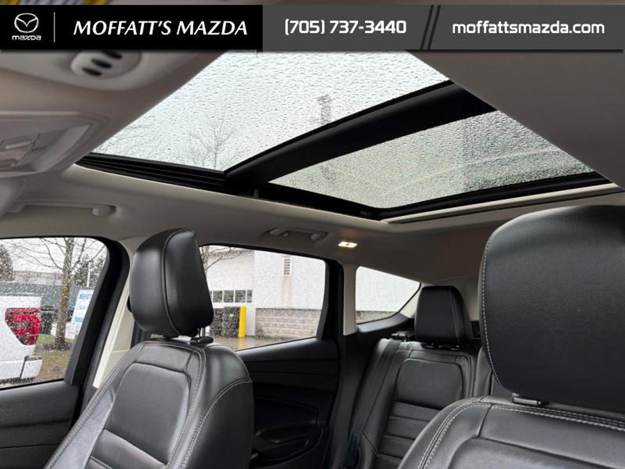 2019 Ford Escape Titanium 4WD Photo