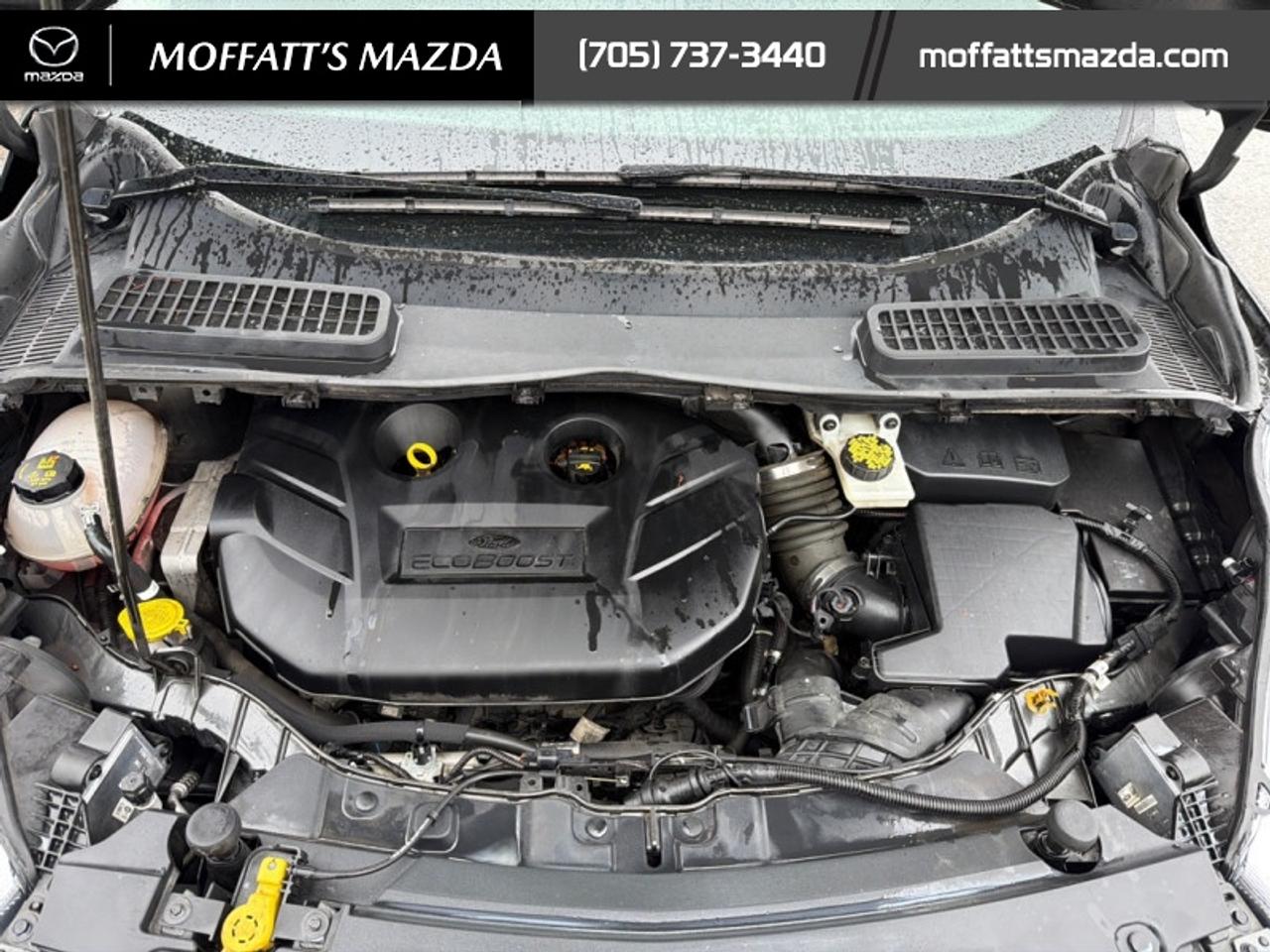 2019 Ford Escape Titanium 4WD Photo