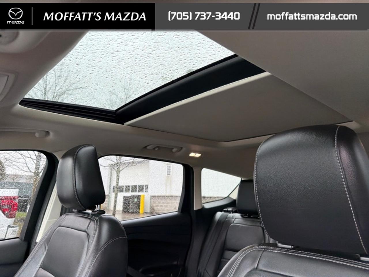 2019 Ford Escape Titanium 4WD Photo
