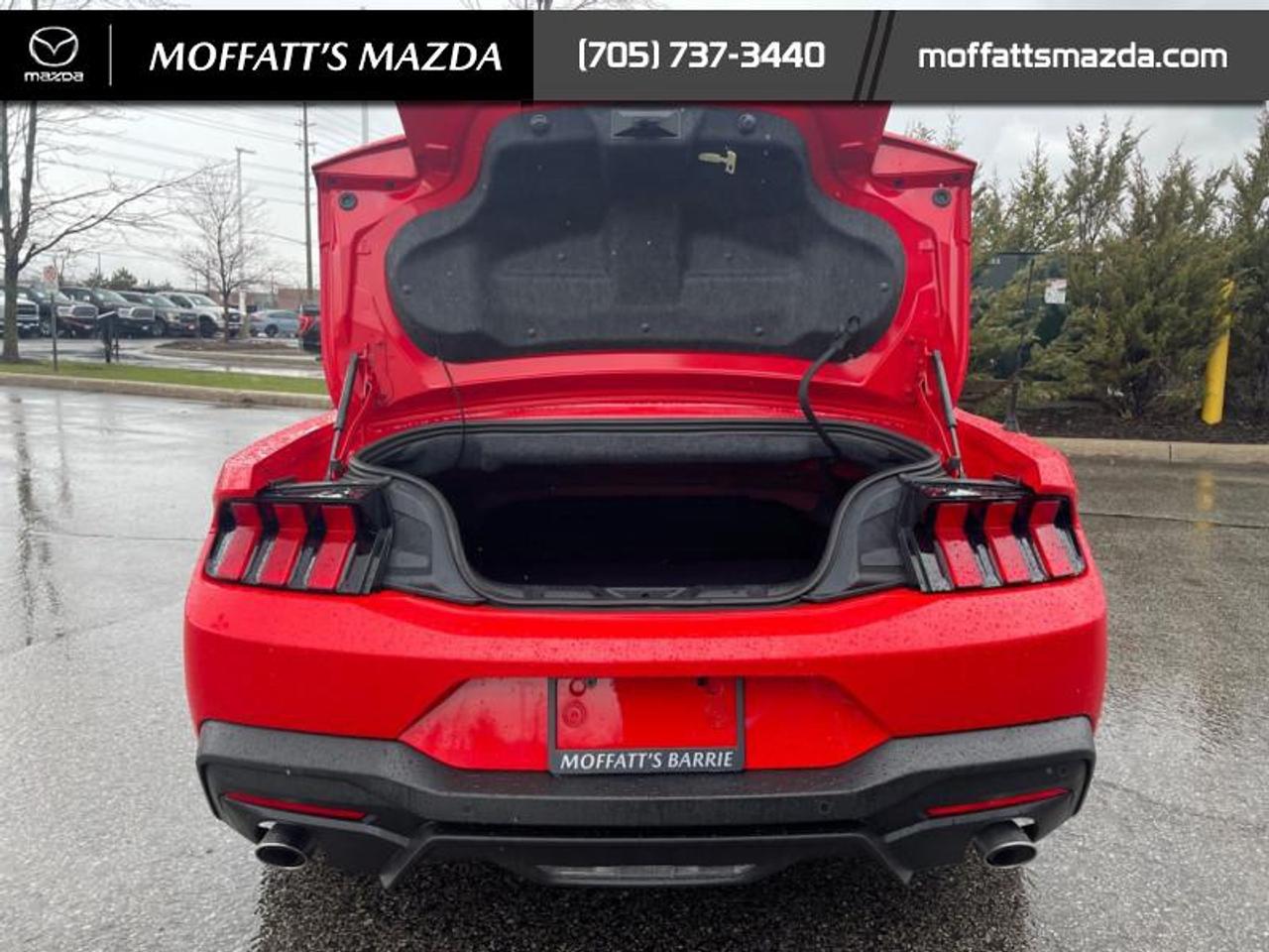 2025 Ford Mustang EcoBoost Photo