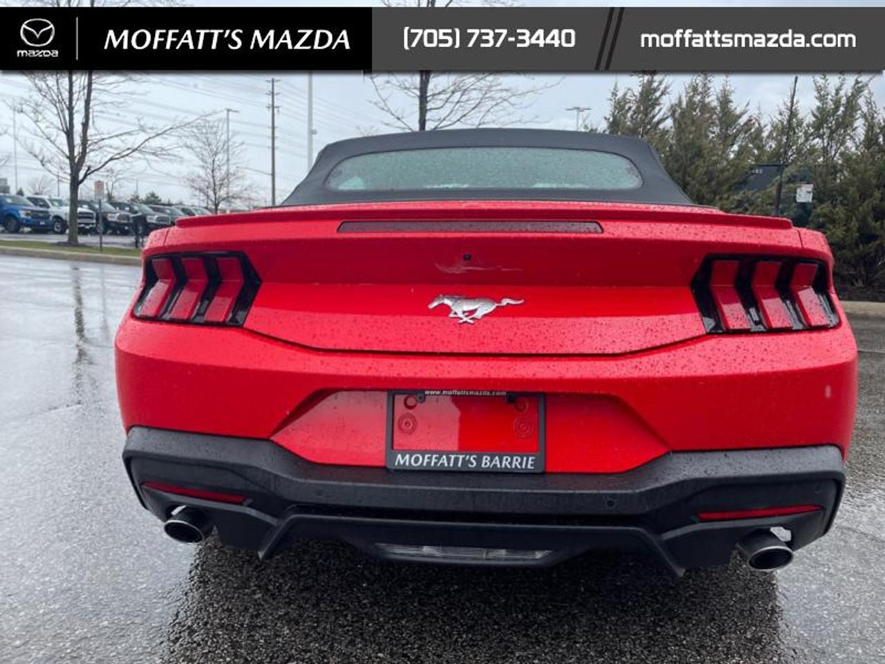 2025 Ford Mustang EcoBoost Photo