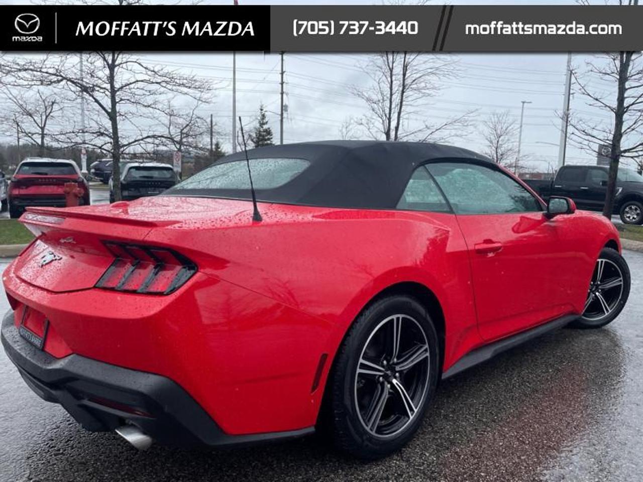 2025 Ford Mustang EcoBoost Photo