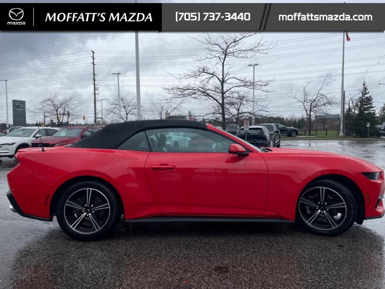 2025 Ford Mustang EcoBoost Photo