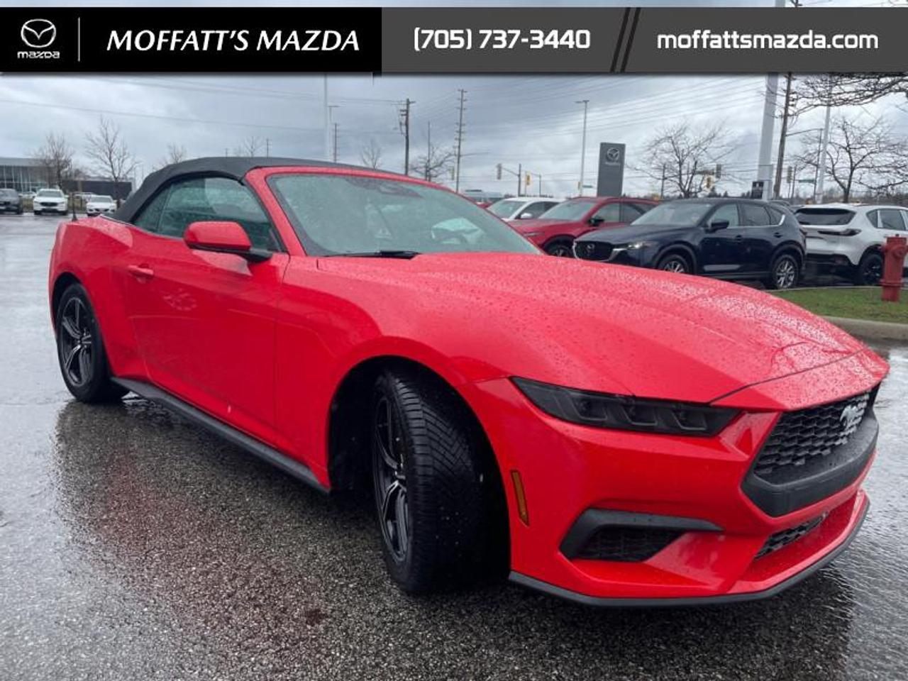 2025 Ford Mustang EcoBoost Photo