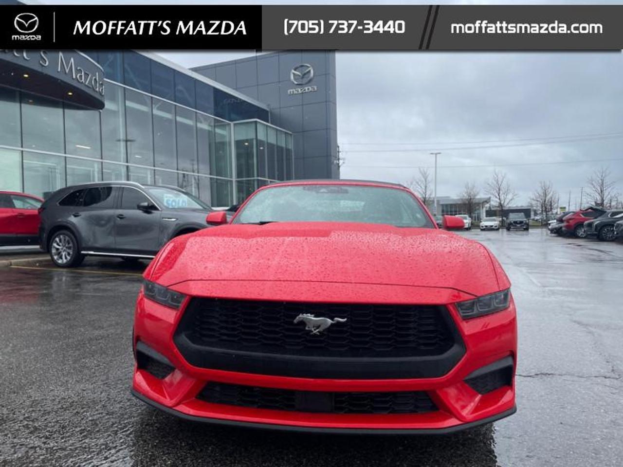 2025 Ford Mustang EcoBoost Photo