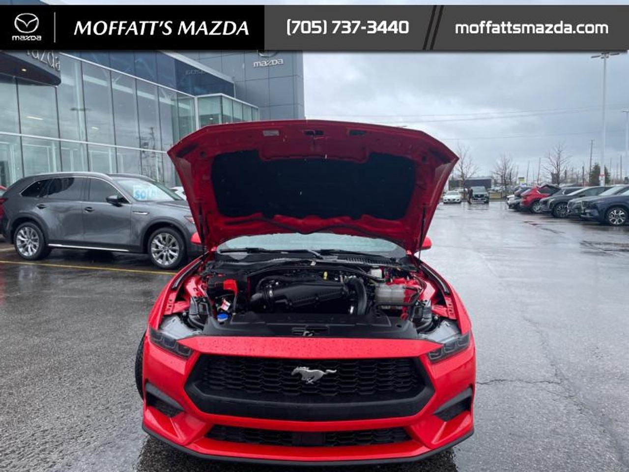 2025 Ford Mustang EcoBoost Photo