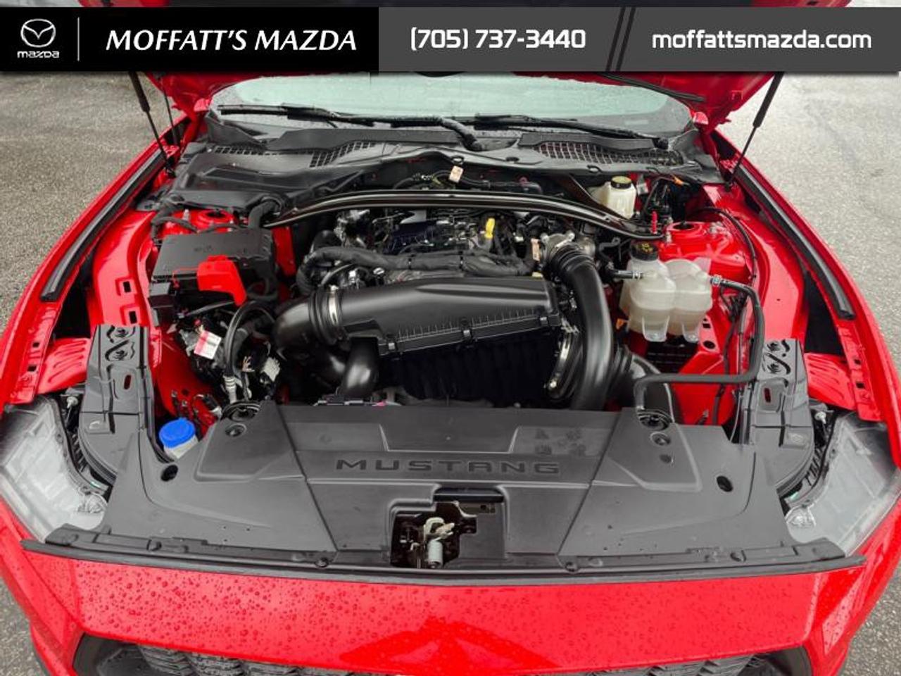 2025 Ford Mustang EcoBoost Photo