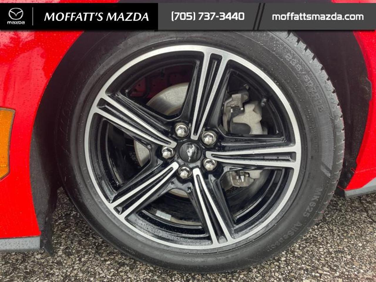 2025 Ford Mustang EcoBoost Photo